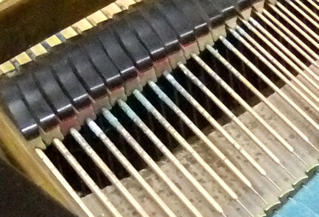 Grand Restoration - Closeup of strings